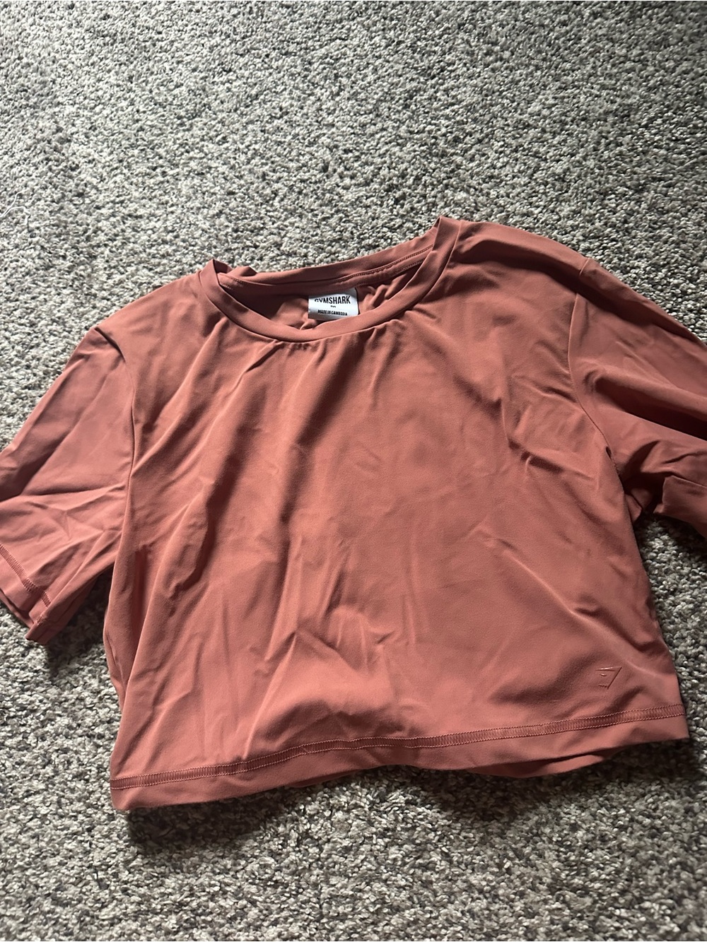 Gymshark X Whitney Simmons Cropped Tee in Rusty Terracotta